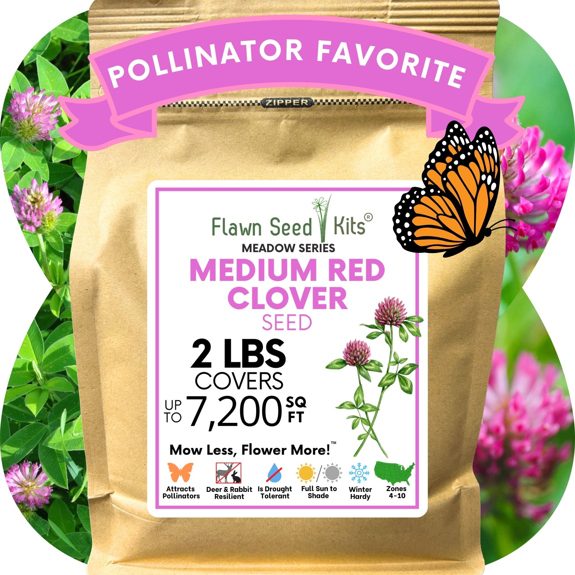 Medium Red Clover Seed: Vibrant Pink Blooms for Your Eco-Friendly, Pollinator-Friendly Lawn