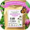 Medium Red Clover Seed: Vibrant Pink Blooms for Your Eco-Friendly, Pollinator-Friendly Lawn