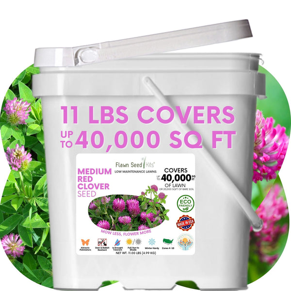 Medium Red Clover Seed: Vibrant Pink Blooms for Your Eco-Friendly, Pollinator-Friendly Lawn