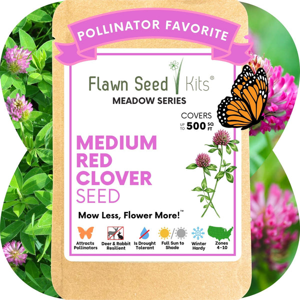 Medium Red Clover Seed: Vibrant Pink Blooms for Your Eco-Friendly, Pollinator-Friendly Lawn