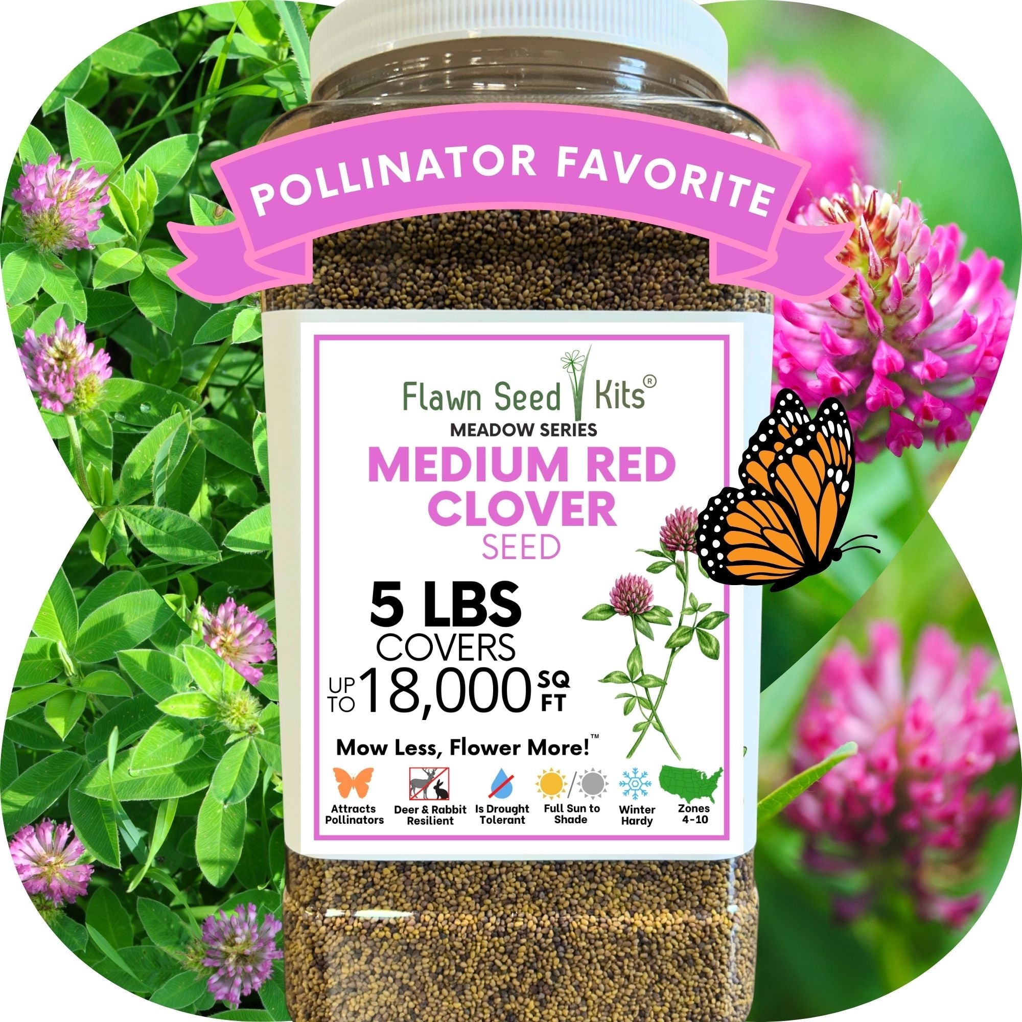 Medium Red Clover Seed: Vibrant Pink Blooms for Your Eco-Friendly, Pollinator-Friendly Lawn