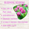 Medium Red Clover Seed: Vibrant Pink Blooms for Your Eco-Friendly, Pollinator-Friendly Lawn