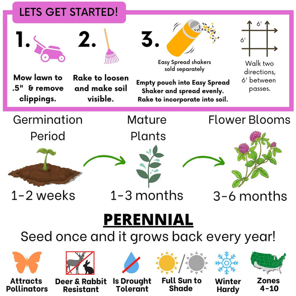 Medium Red Clover Seed: Vibrant Pink Blooms for Your Eco-Friendly, Pollinator-Friendly Lawn