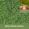 Close-up of green clover leaves with a hand holding a small leaf, labeled '1/4 Size of Dutch White Clover'.