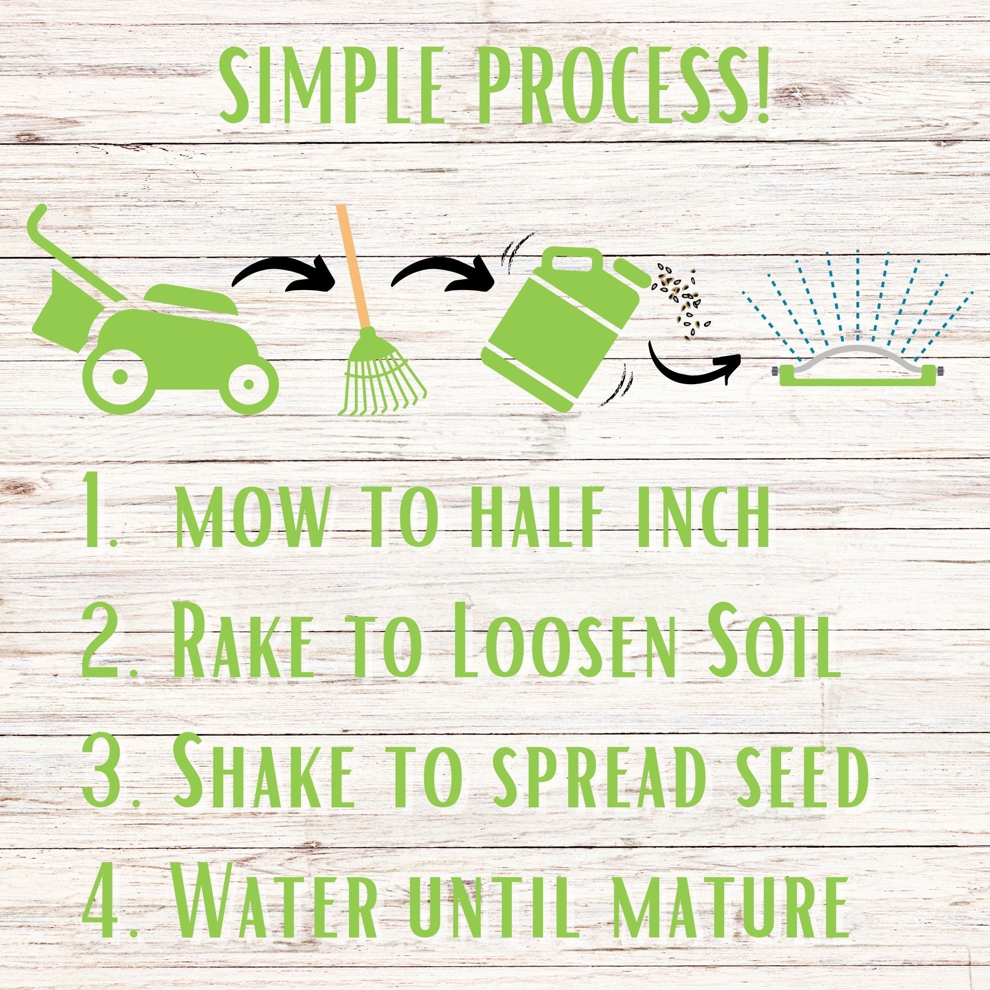 Micro Bee Lawn Seed Mixture - Easy Spread Shaker: Your Low-Sting, Eco-Friendly Oasis