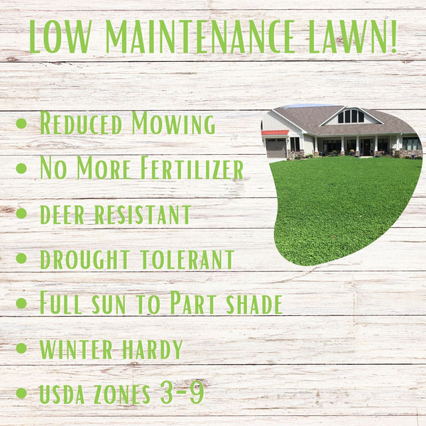 Advertisement for low maintenance lawn with text and a picture of a well-maintained lawn.