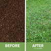 Before and after comparison of soil and grass with text indicating time frame.