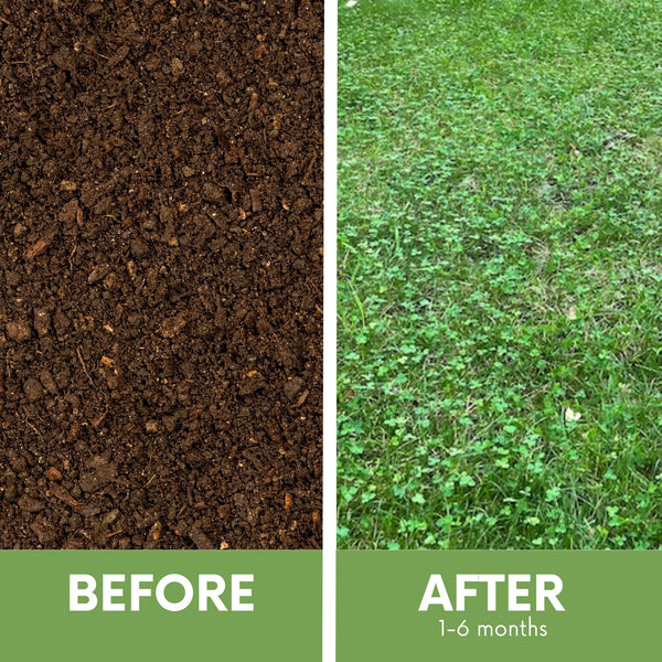 Before and after comparison of soil and grass with text indicating time frame.