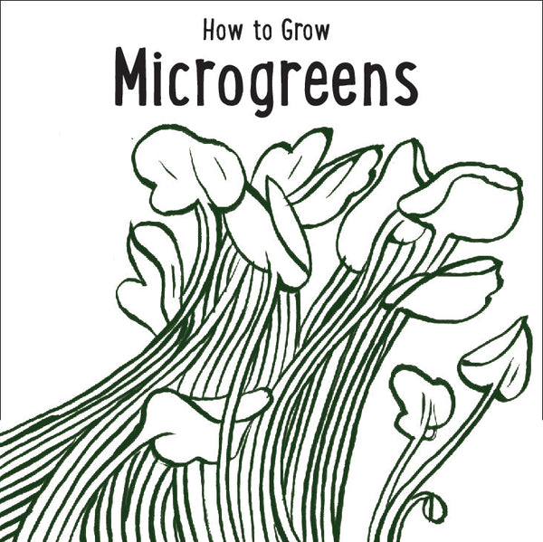 Illustration of microgreens with text 'How to Grow Microgreens' on a white background