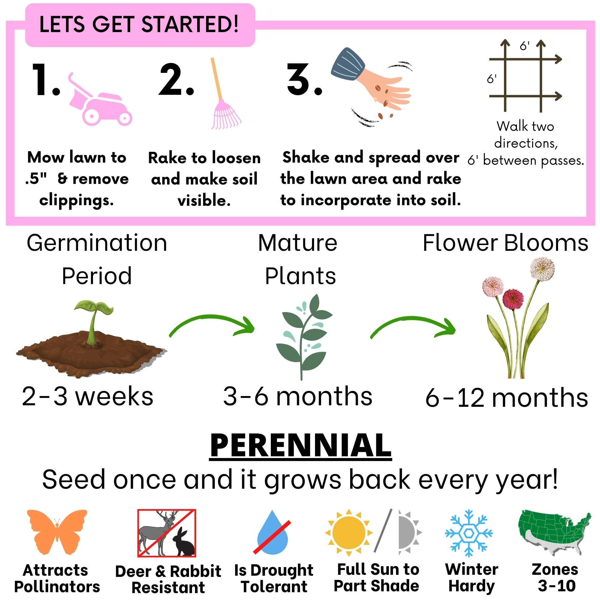 Step-by-step guide for lawn seed application with illustrations and text.
