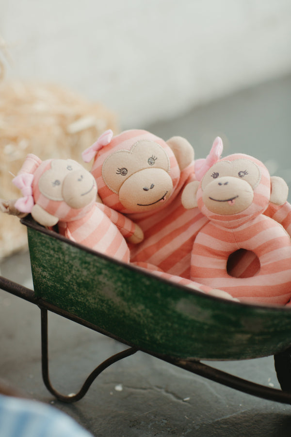 Maggie Monkey plush teething rattle shown alongside other Organic Farm Buddies baby toys
