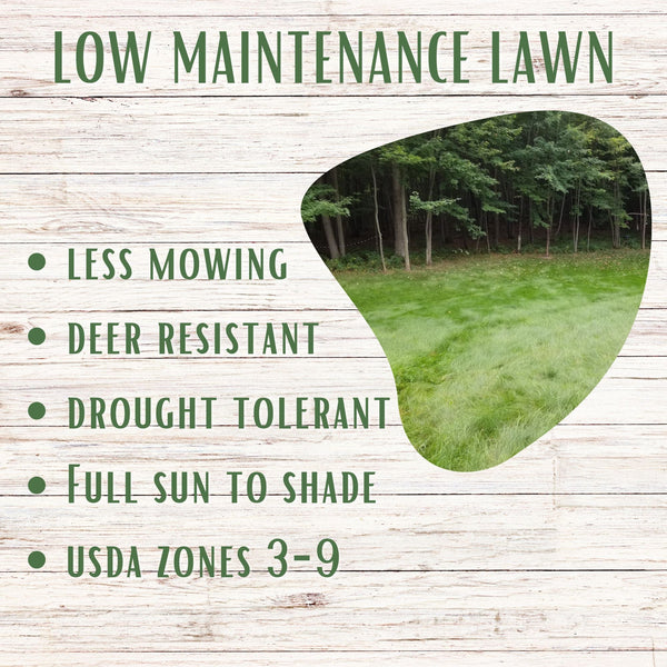 Advertisement for low maintenance lawn with a grassy area and text on a wooden background