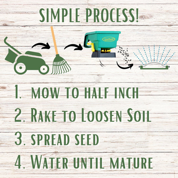 Economy Mow Less Grass Seed