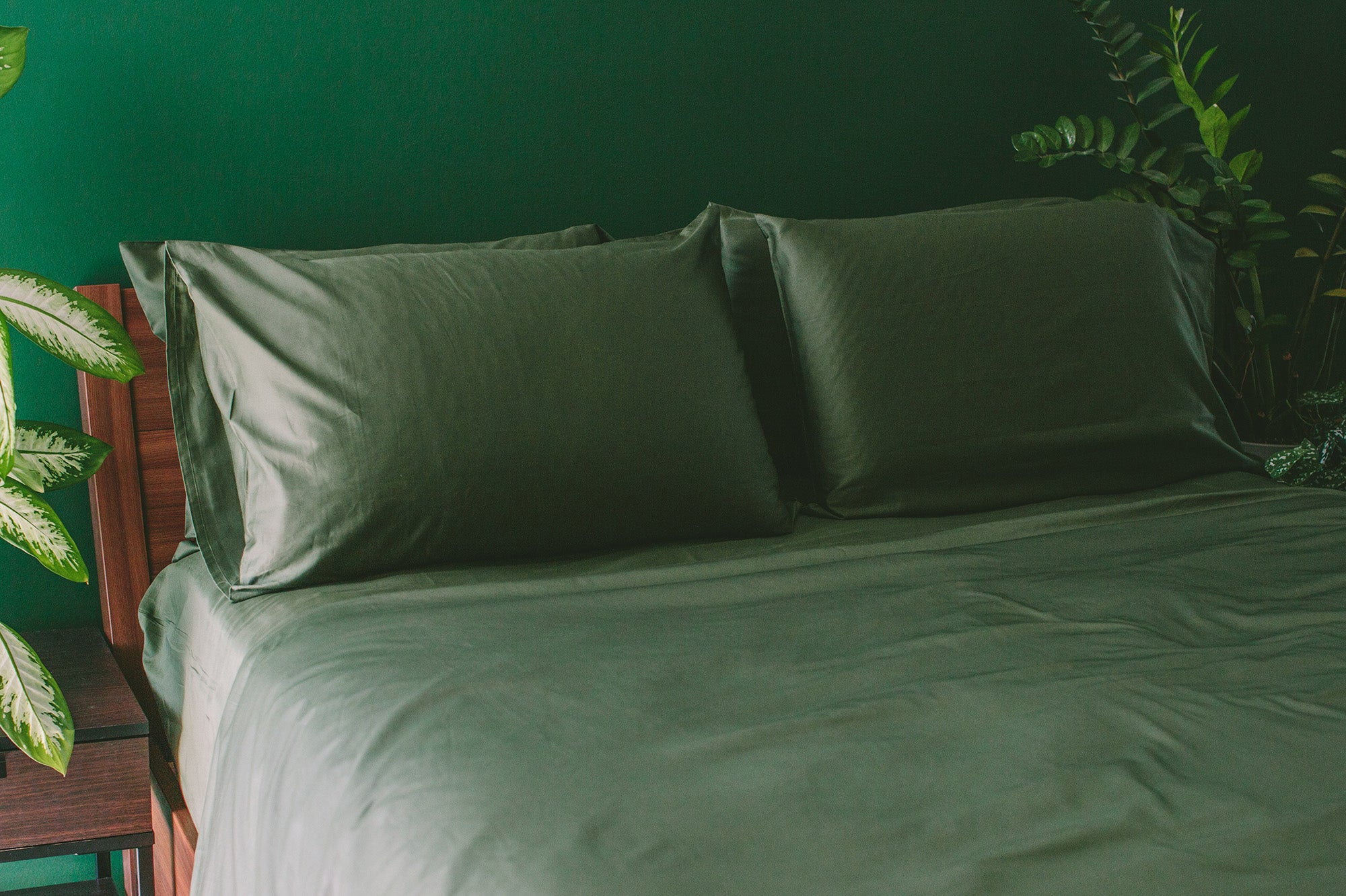 Green bedding set with pillows on a bed against a dark green wall with plants.
