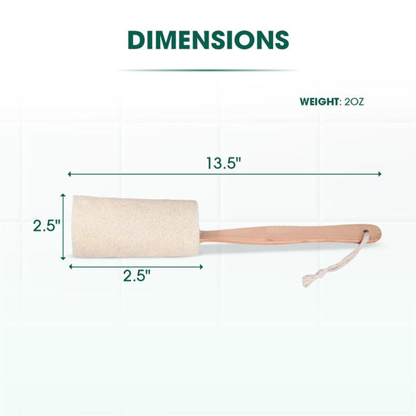 Measurement chart of a wooden body brush with dimensions labeled on a white background.