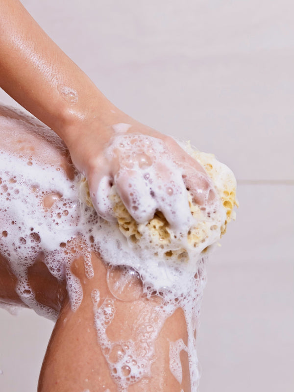 natural bathing sea sponge