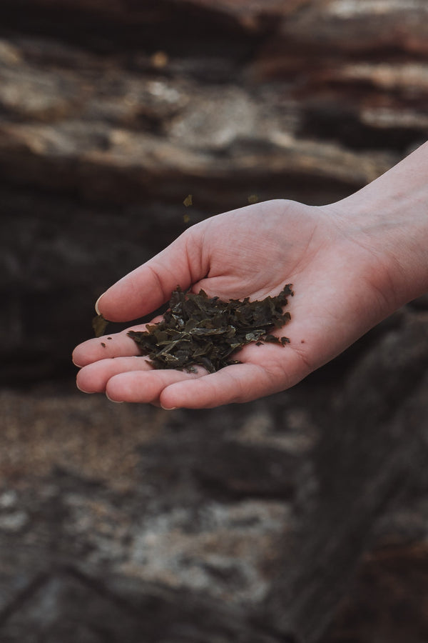 organic kelp flakes