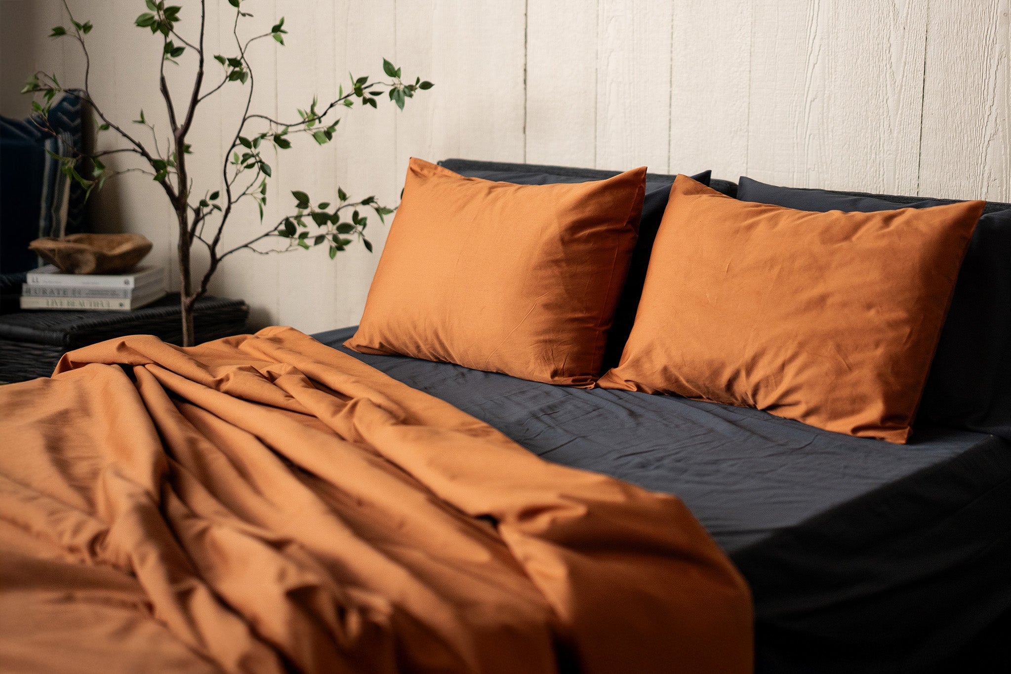 Orange pillows and blanket on a bed with a plant in the background