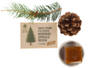 Filtered pure Norway Spruce resin Picea abies 1oz in a small glass jar on a natural surface