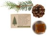 Norway Spruce resin pieces displayed on a wooden board alongside natural botanicals and incense tools