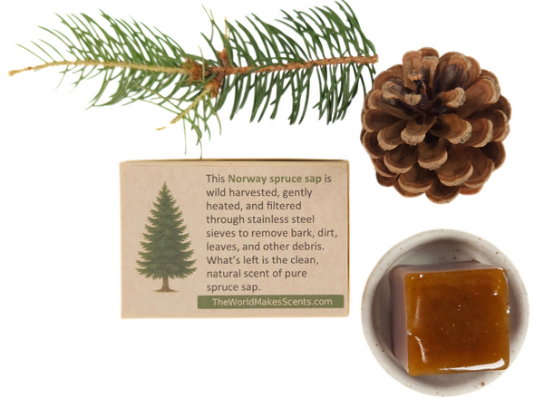 Norway Spruce resin pieces displayed on a wooden board alongside natural botanicals and incense tools