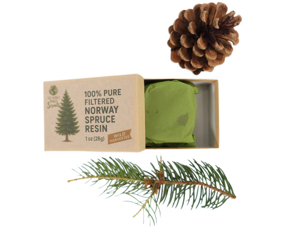 Norway Spruce resin being warmed on an incense tealight warmer releasing natural forest scent