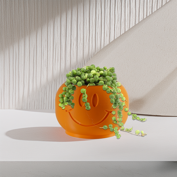 Smiley Face Plant Pot with Drainage & Drip Tray – Eco-Friendly PLA Planter