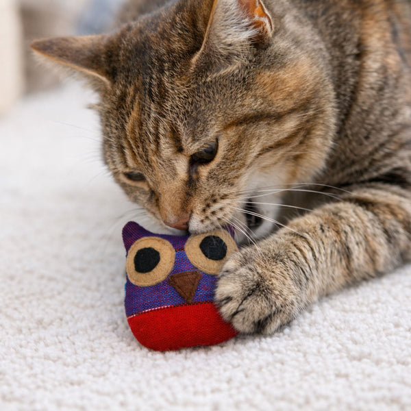 Cat playing with the organic catnip owl cat toy