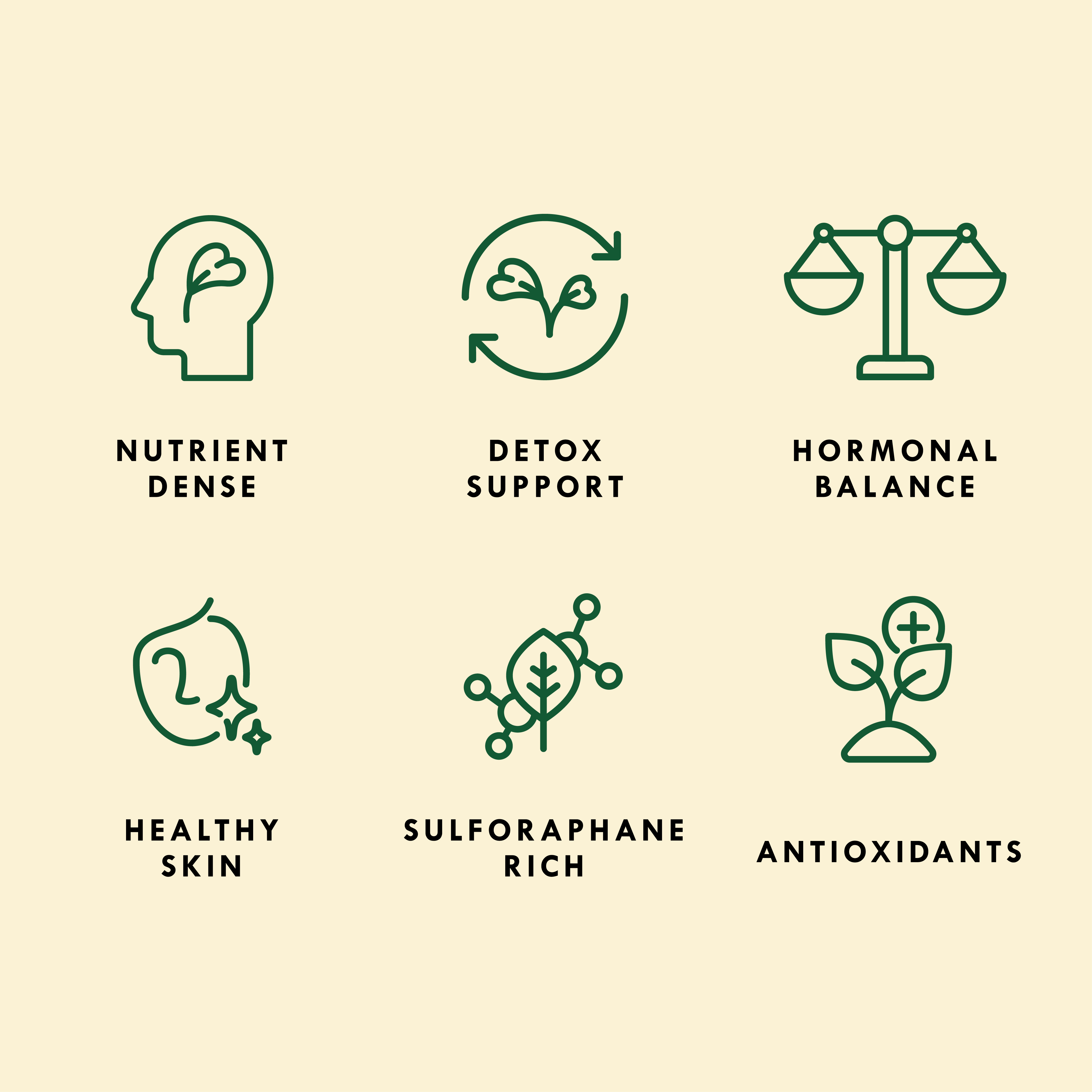 Sproutman Alfa-Broc icon graphic showing the sprouting seed steps