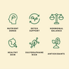 Sproutman Alfa-Broc icon graphic showing the sprouting seed steps