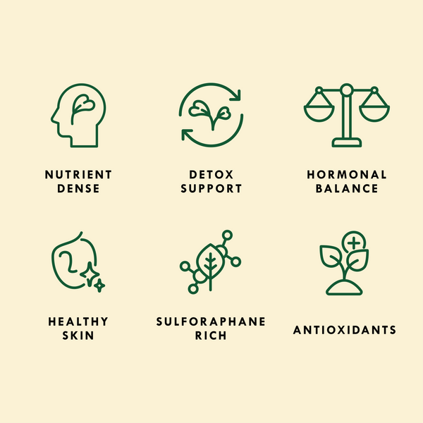 Sproutman Alfa-Broc icon graphic showing the sprouting seed steps