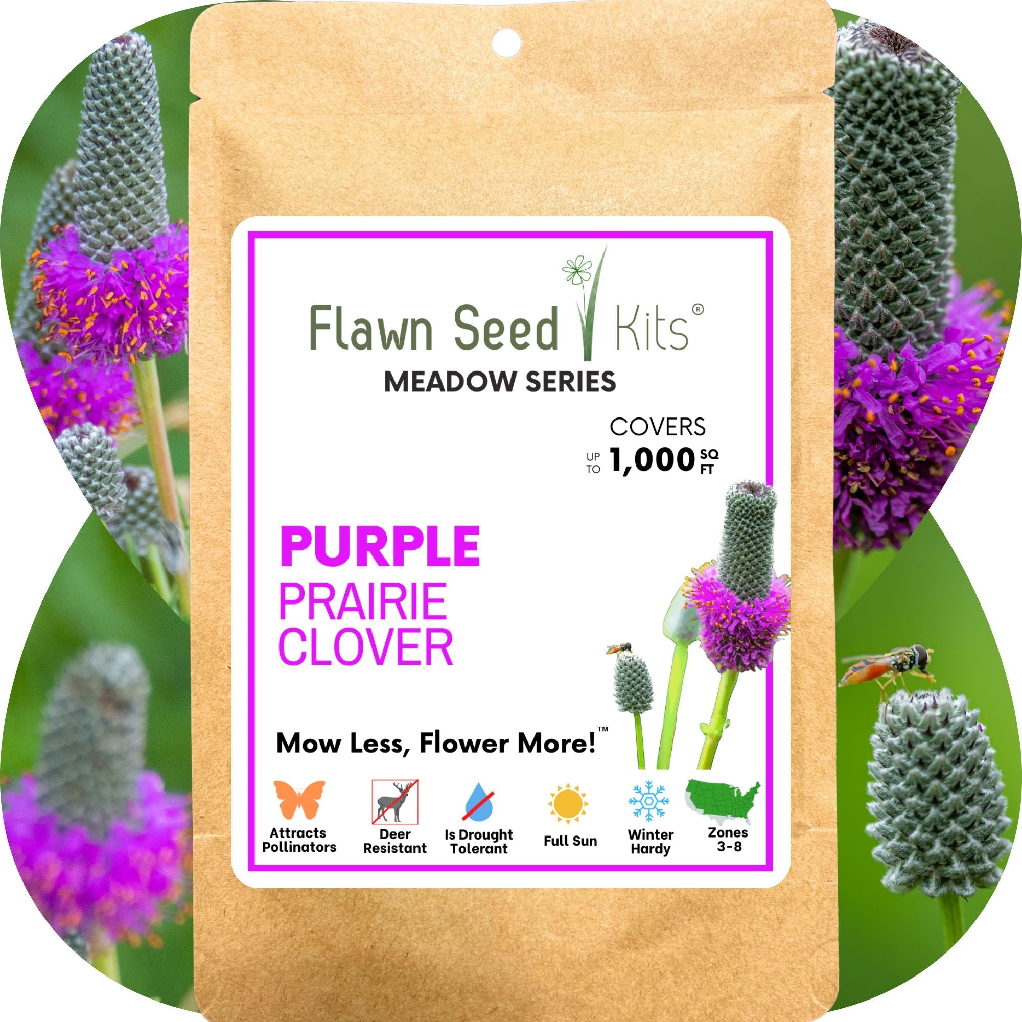 Purple Prairie Clover Seed