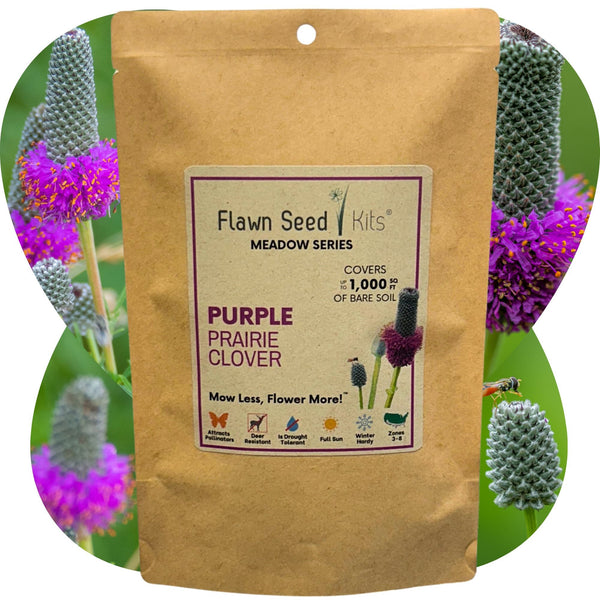 Flawn Seed Kits purple prairie clover seed packet with a background of purple flowers.