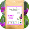 Purple Prairie Clover Seed