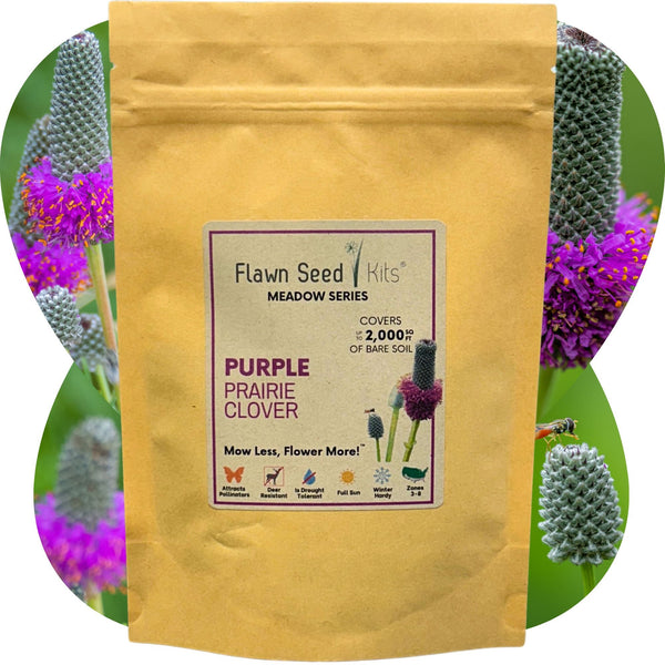 Yellow seed packet of Purple Prairie Clover with floral background