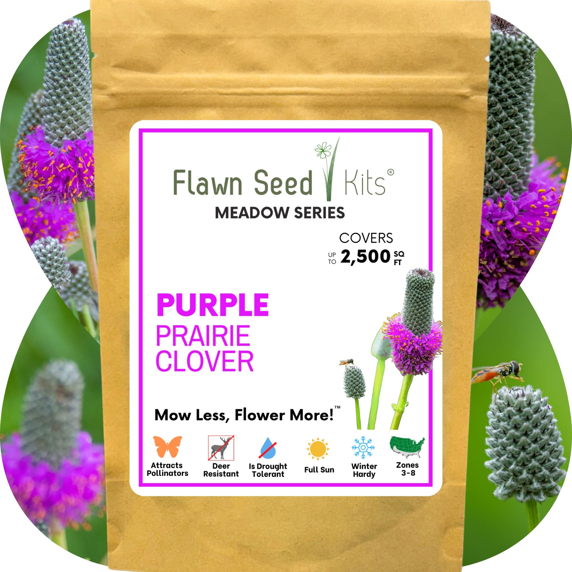 Purple Prairie Clover Seed