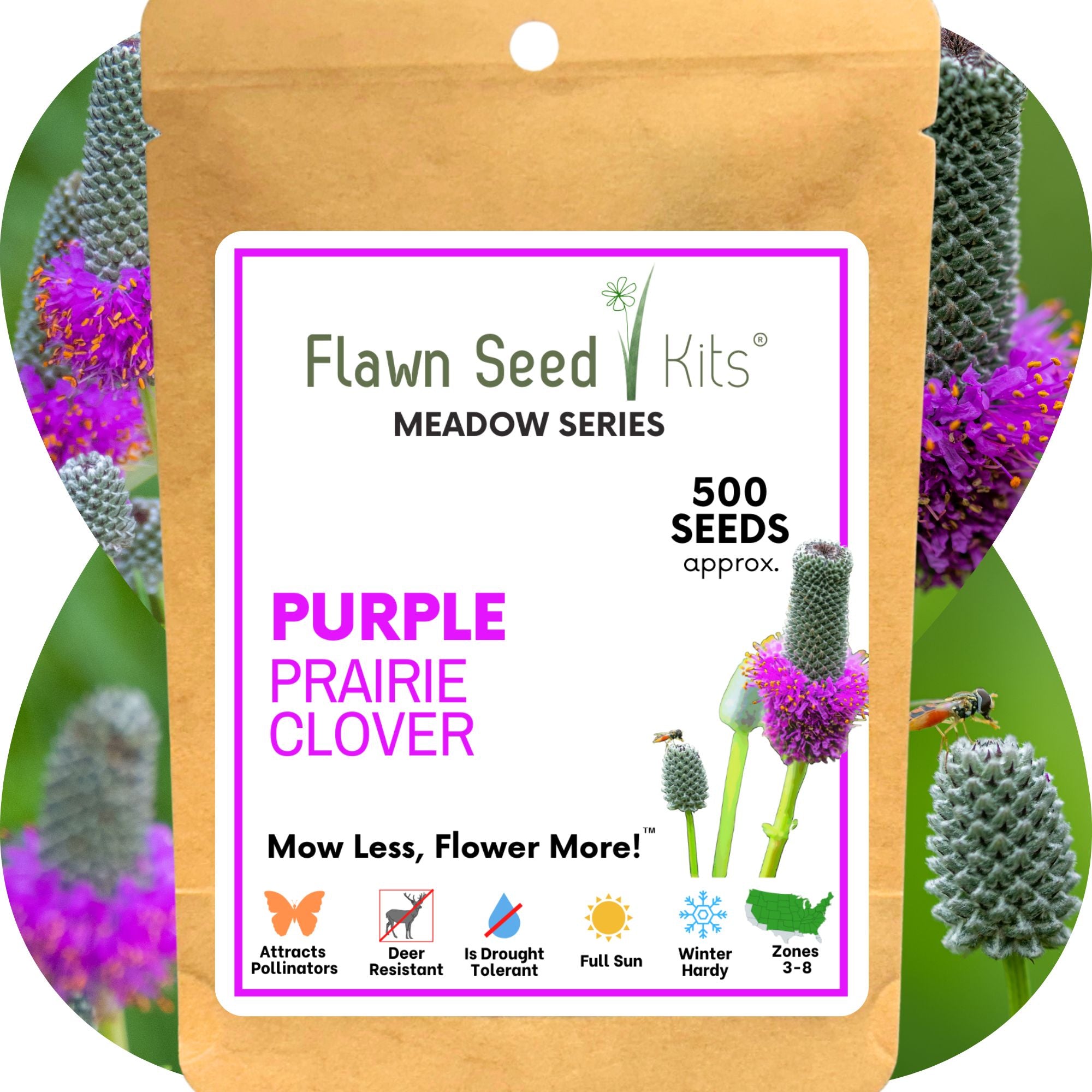 Purple Prairie Clover Seed