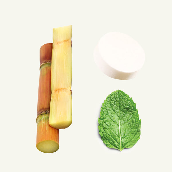 Two pieces of sugarcane and a mint leaf on a white background