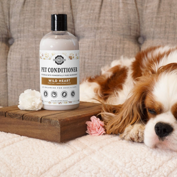 Pet conditioner bottle labeled 'Wild Heart' next to a Cavalier King Charles Spaniel on a wooden tray with flowers.