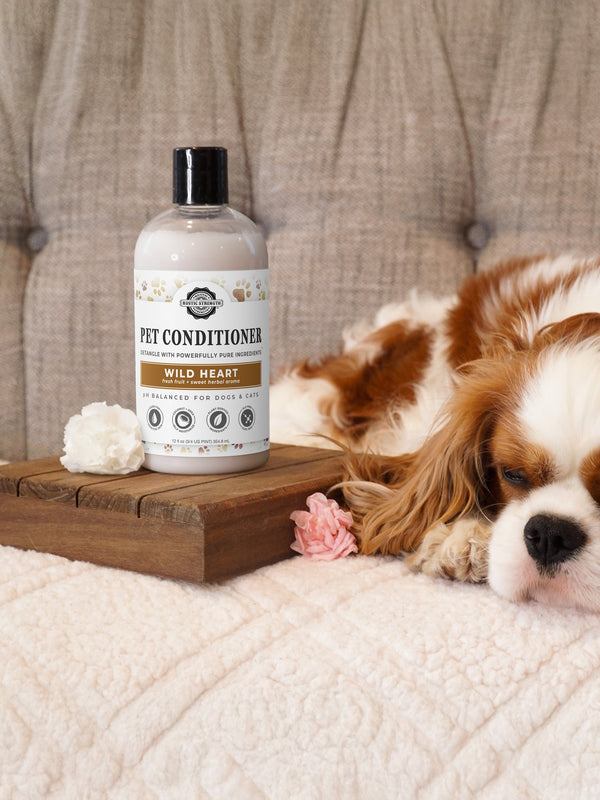 Rustic Strength Pure Paws pet conditioner for dogs and cats — plant-based and toxin-free