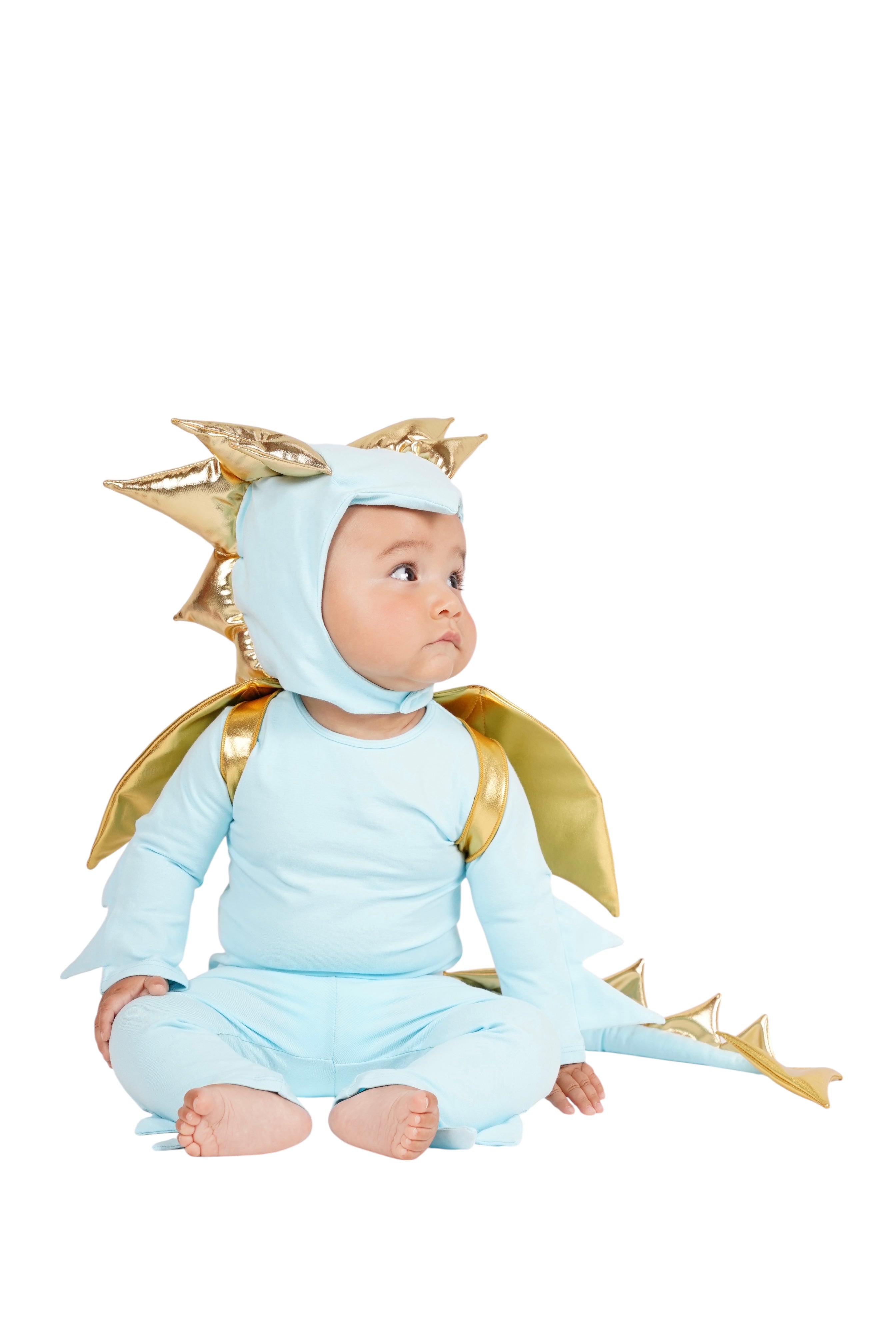 Sky Blue Dragon Costume