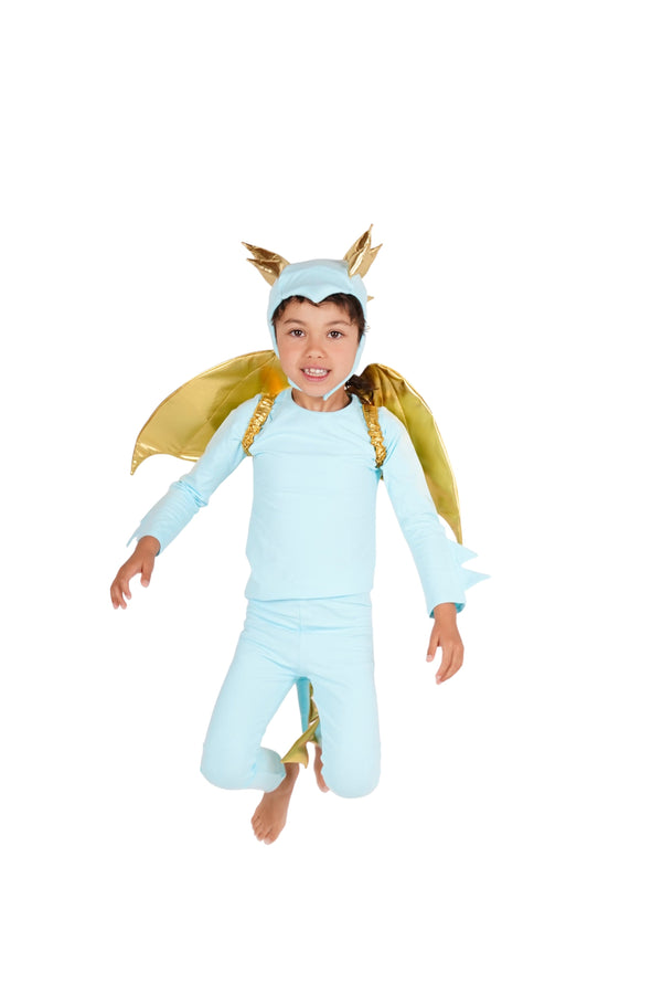 Sky Blue Dragon Costume