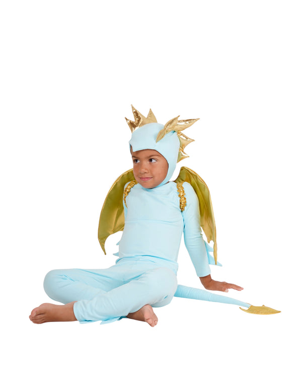 Sky Blue Dragon Costume