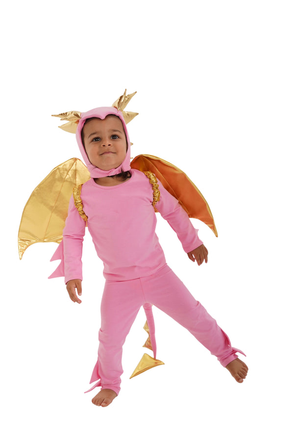 Pink Sky Dragon Pajama Costume for Kids