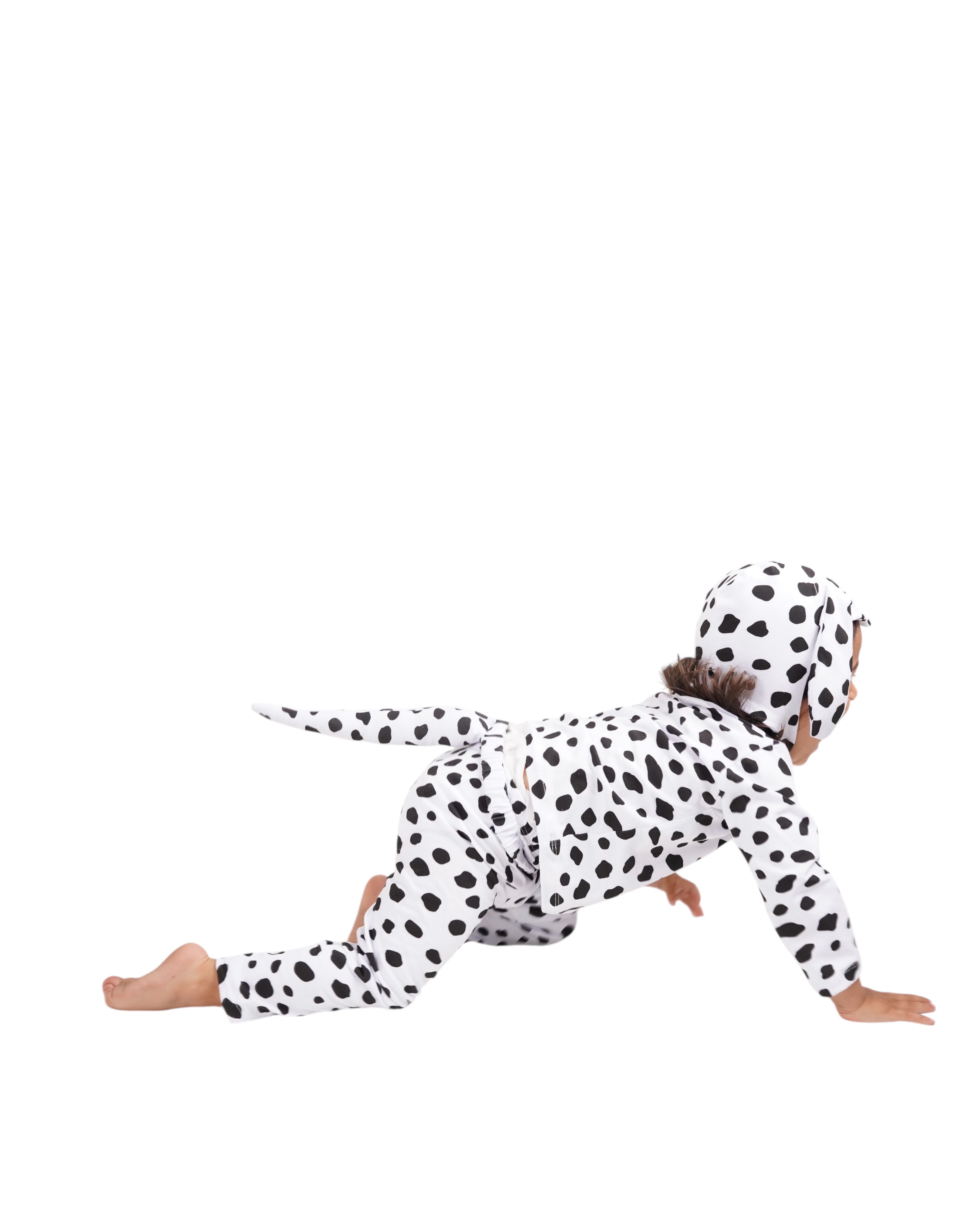 Child wearing a Dalmatian costume on a white background
