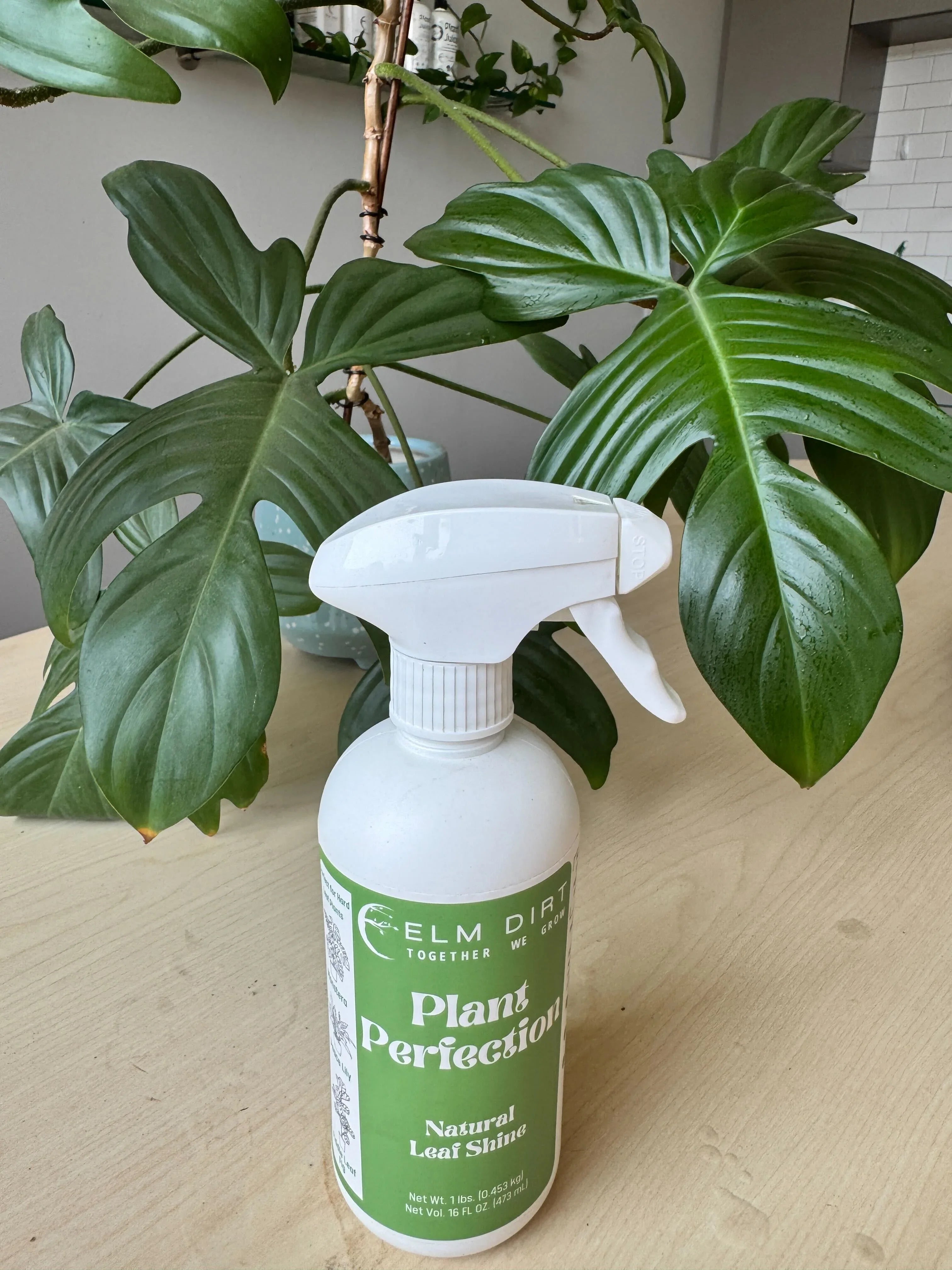 Plant Perfection - Spray