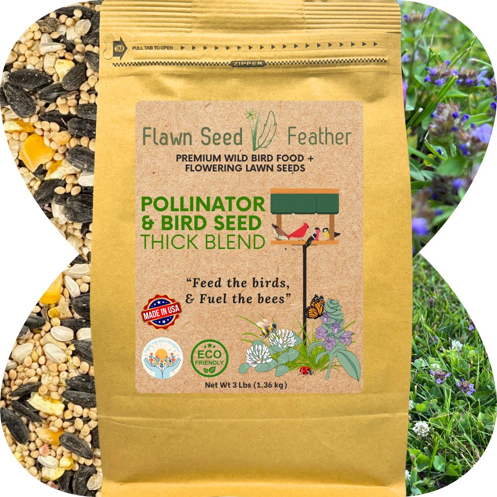 Flawn Seed Feather bird seed package with a natural background