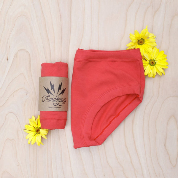 Thunderpants Pomegranate Punch Hipster underwear close-up showing vintage coral-pink colour detail