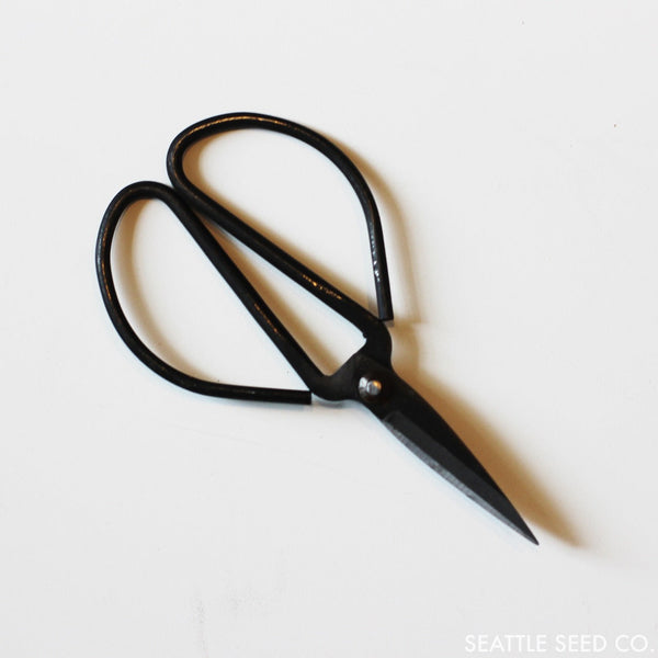 Forged steel garden pruners laid flat, suitable for pruning, harvesting and floral work