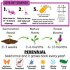 Purple Prairie Clover Seed